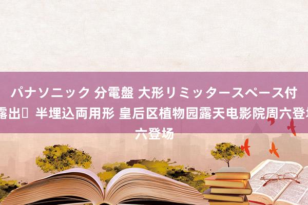 パナソニック 分電盤 大形リミッタースペース付 露出・半埋込両用形 皇后区植物园露天电影院周六登场