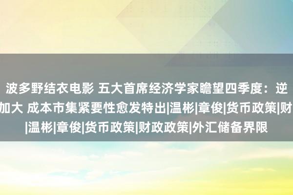 波多野结衣电影 五大首席经济学家瞻望四季度：逆周期退换力度进一步加大 成本市集紧要性愈发特出|温彬|章俊|货币政策|财政政策|外汇储备界限