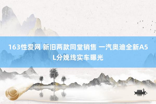 163性爱网 新旧两款同堂销售 一汽奥迪全新A5L分娩线实车曝光