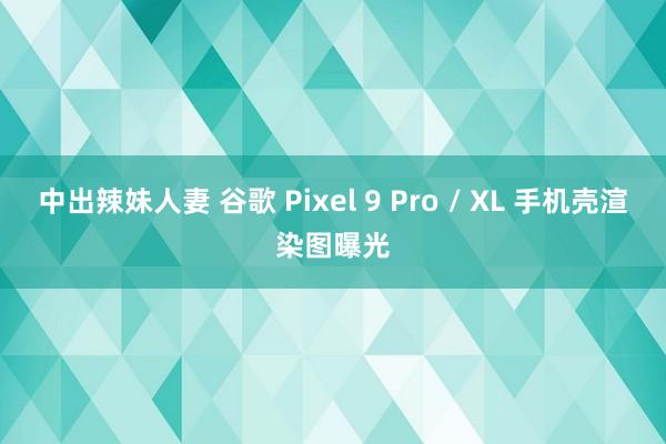 中出辣妹人妻 谷歌 Pixel 9 Pro / XL 手机壳渲染图曝光