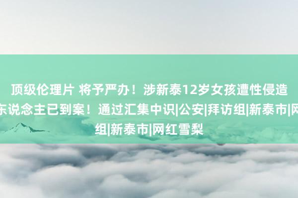 顶级伦理片 将予严办！涉新泰12岁女孩遭性侵造孽嫌疑东说念主已到案！通过汇集中识|公安|拜访组|新泰市|网红雪梨